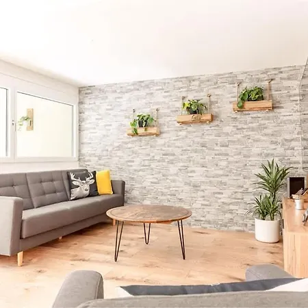 Apartmán Alpin Chic - Aare Jungfrau Ag