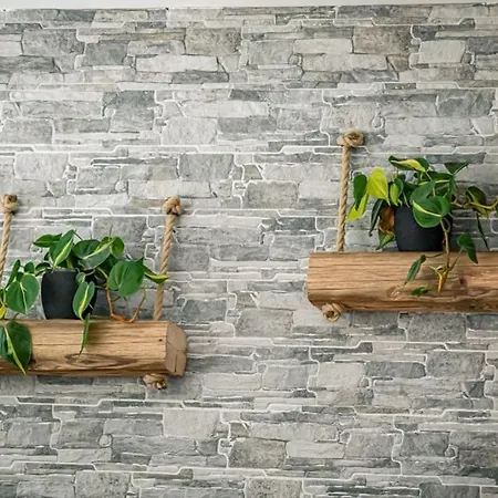 Alpin Chic - Aare Jungfrau Ag 그린델발트