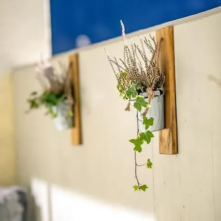 Alpin Chic - Aare Jungfrau Ag * 그린델발트